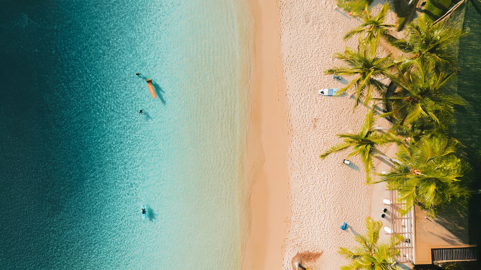 Panache Cruises Video Thumbnail